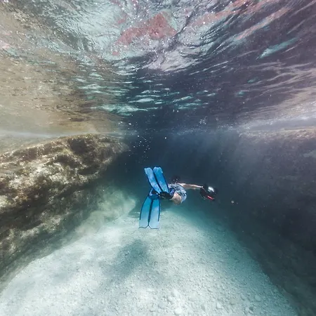 Emelisse Nature Фискардон