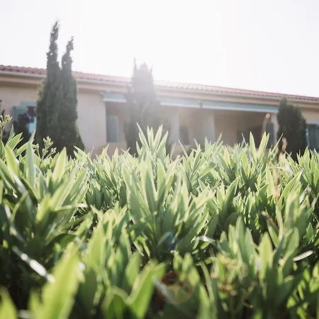 Emelisse Nature Отель